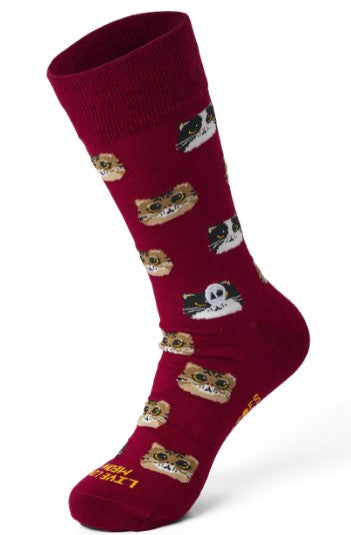 SOCKS_Big-Eyed Kitten Sock by Talking Toes