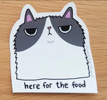 SteakandEggsPlease - Stickers - Grumpy Cat Series