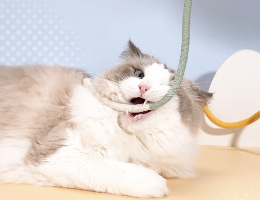 CAT TOY - Earthworm Catnip Toy