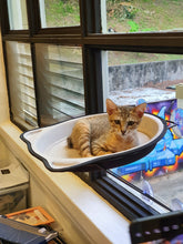 CAT BEDS - Cat Window Hammock Bed