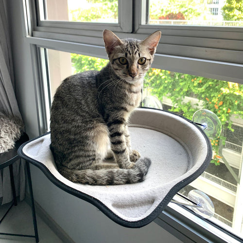 CAT BEDS - Cat Window Hammock Bed