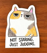 SteakandEggsPlease - Stickers - Grumpy Cat Series
