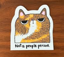 SteakandEggsPlease - Stickers - Grumpy Cat Series