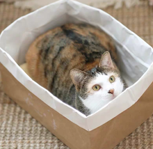 SCRATCHER - Paper Bag Scratcher Cardboard