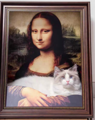 SCRATCHER - 4D Mona Lisa Oil Painting Scratcher
