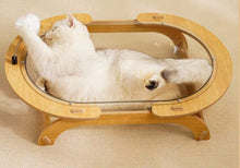 SCRATCHER - Giant Transparent Bathtub Cat Bed