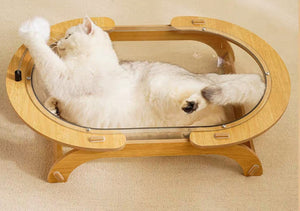 SCRATCHER - Giant Transparent Bathtub Cat Bed