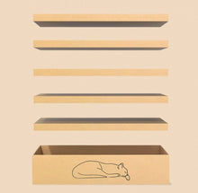 SCRATCHER - Ultra Value Scratcher Set Cat Bed with 5 Cardboard