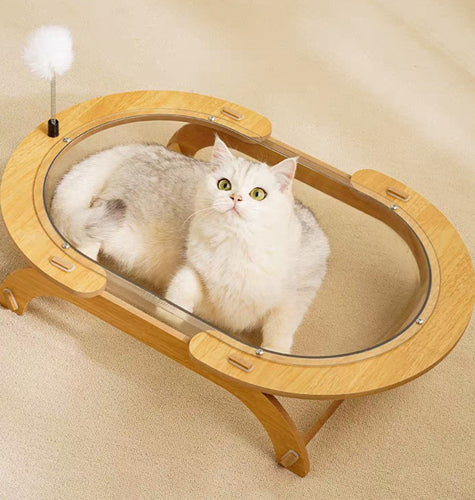 SCRATCHER - Giant Transparent Bathtub Cat Bed