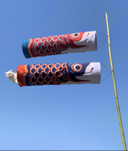 CAT TUNNEL - Long Koinobori Fish Flag Felt Tunnel