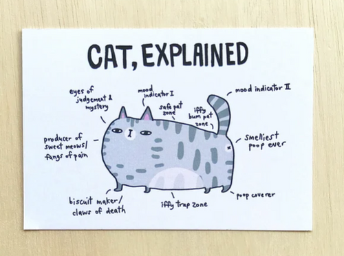 POSTCARD - Cat Explained by SteakandEggsPlease