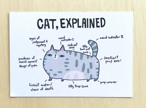 POSTCARD - Cat Explained by SteakandEggsPlease