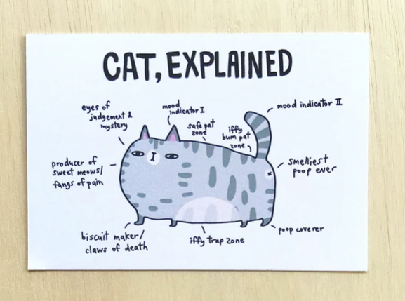 POSTCARD - Cat Explained by SteakandEggsPlease