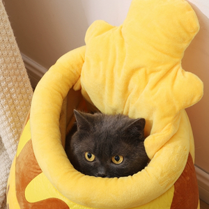 CAT BED - Hide & Seek Honey Jar Cat Bed